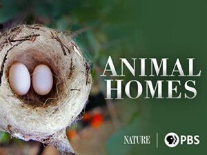 animal homes, season 1