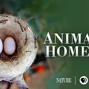 Animal Homes, Season 1