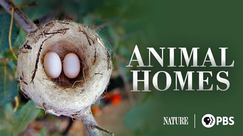 Animal Homes, Season 1