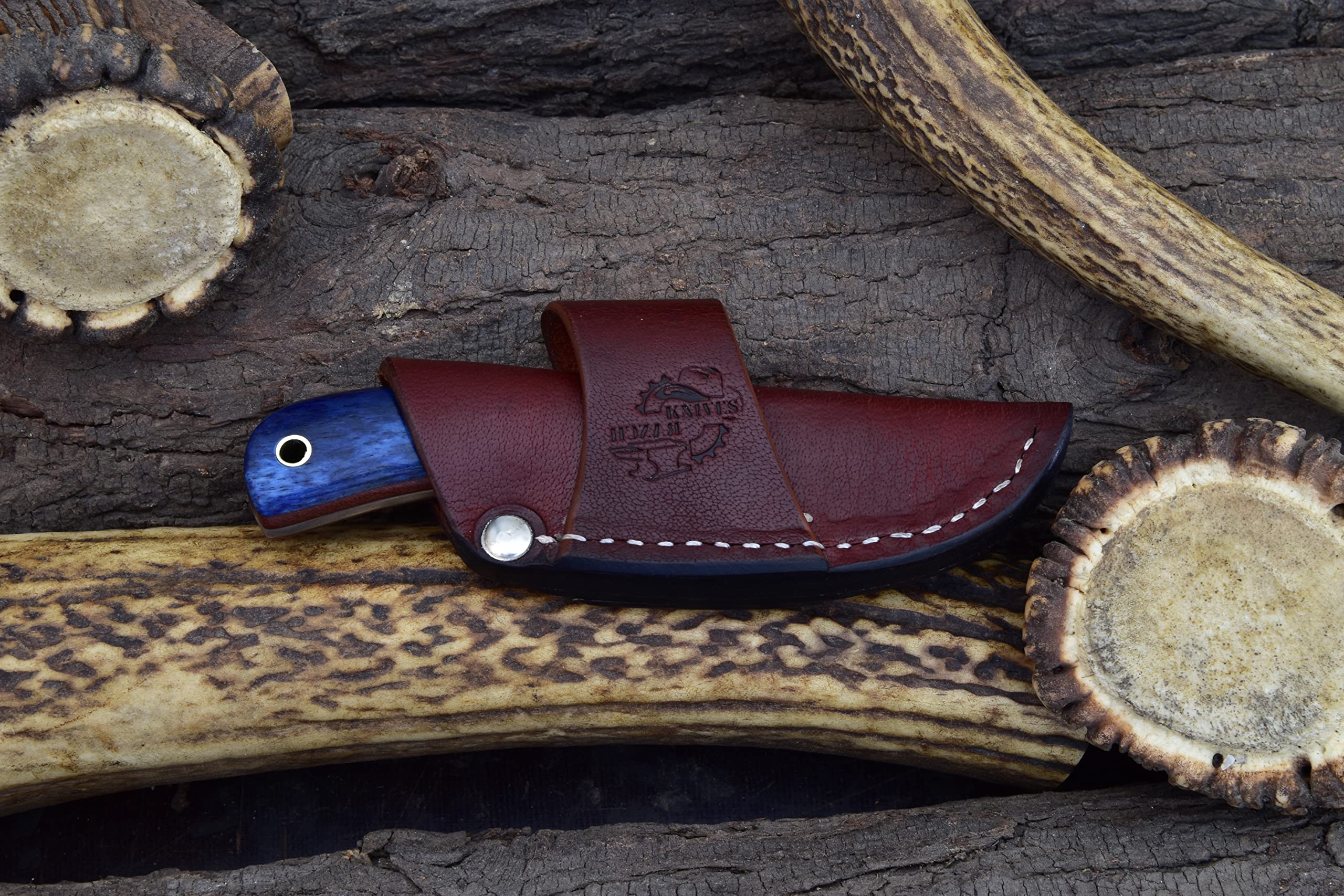 Knives Ranch Handmade Damascus Steel Full Tang 5-1/2" Cowboy Style Dandy Knife with Blue Dyed Cattle Bone Handle and Horizontal Carrying Crossdraw Sheath Snug Fit (2006-BLU)