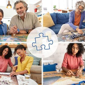 Ravensburger Two of a Kind 500 Piece Jigsaw Puzzles for Adults & Kids Age 10 Years Up - Nostalgic Puzzle