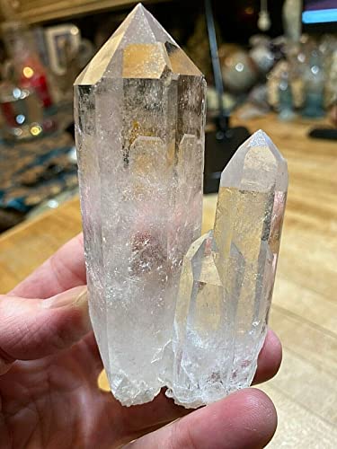 Decor Stone Lemurian Seed Crystal Record Keeper Cathedral Multi Laser Point Specimen 670