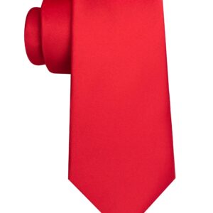 JEMYGINS Red Tie Silk Necktie for Men Business and Wedding