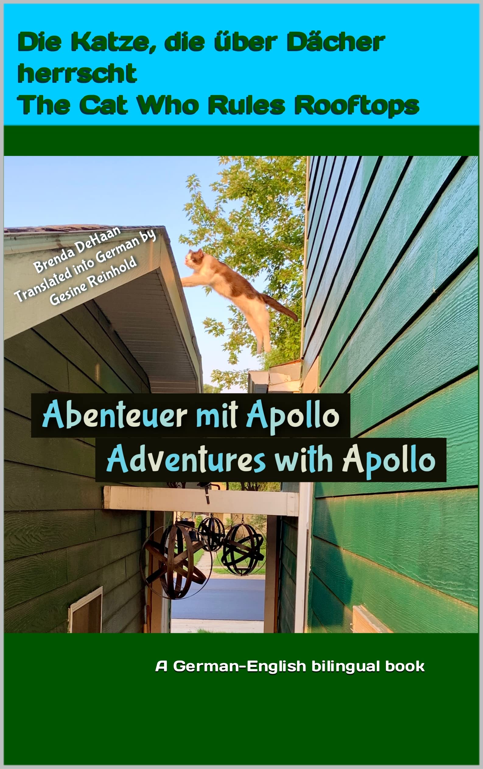 Abenteuer mit Apollo: Die Katze, die über Dächer herrscht: Adventures with Apollo: The Cat Who Rules Rooftops / A German-English bilingual book (German Edition)