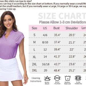 DOTIN Womens 2 Pack Golf Polo Shirts Short Sleeve V Neck Collared Quick Dry Tennis Sports Shirts Workout Tops