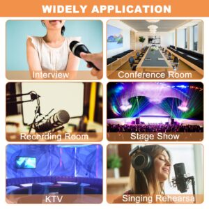 VILLPORT 250pcs Disposable Microphone Cover, Non-Woven Handheld Microphone Windscreen Protective Cap Mic Hygiene Covers with Elastic Band for Recording Room, KTV, Karaoke, Stage Performance