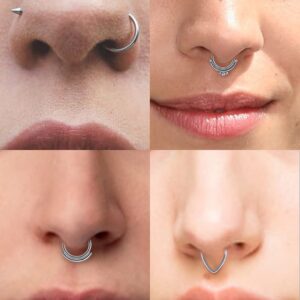 Vsnnsns 16G Septum Ring Septum Piercing Jewelry CZ Septum Clicker Ring Stainless Steel Hinged Segment Septum Nose Rings Hoop Piercing Jewelry for Women Men 16 Gauge Silver 10mm 6pcs