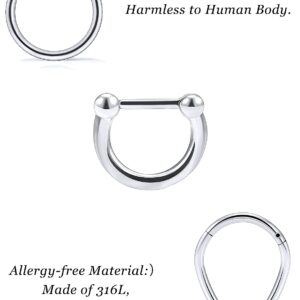 Vsnnsns 16G Septum Ring Septum Piercing Jewelry CZ Septum Clicker Ring Stainless Steel Hinged Segment Septum Nose Rings Hoop Piercing Jewelry for Women Men 16 Gauge Silver 10mm 6pcs