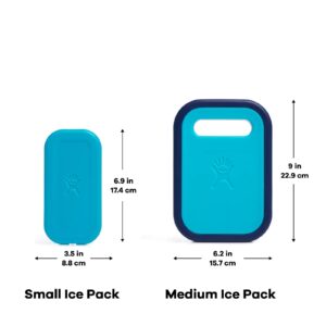 Hydro Flask Ice Pack - Accessory Reusable Freezer - Refreezable, BPA-Free, Non-Toxic Small