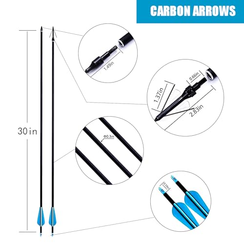 Furqery Adult Bow and Arrow Set, Archery Set Adult Beginner with 12 Carbon Fiber Arrows, 52 Inch Aluminum Takedown Recurve Bow Package for Training, Practice & Competition, 40lbs