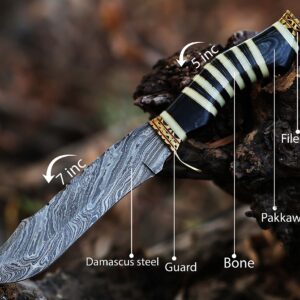 12.5 Inch long Hunting knife, Collectible knife, Scale is made of Camel bone and dollar wood, embellished with Engraved brass finger guard and pommel, Hand forged Twist pattern Damascus steel blade, Comes with Leather sheath