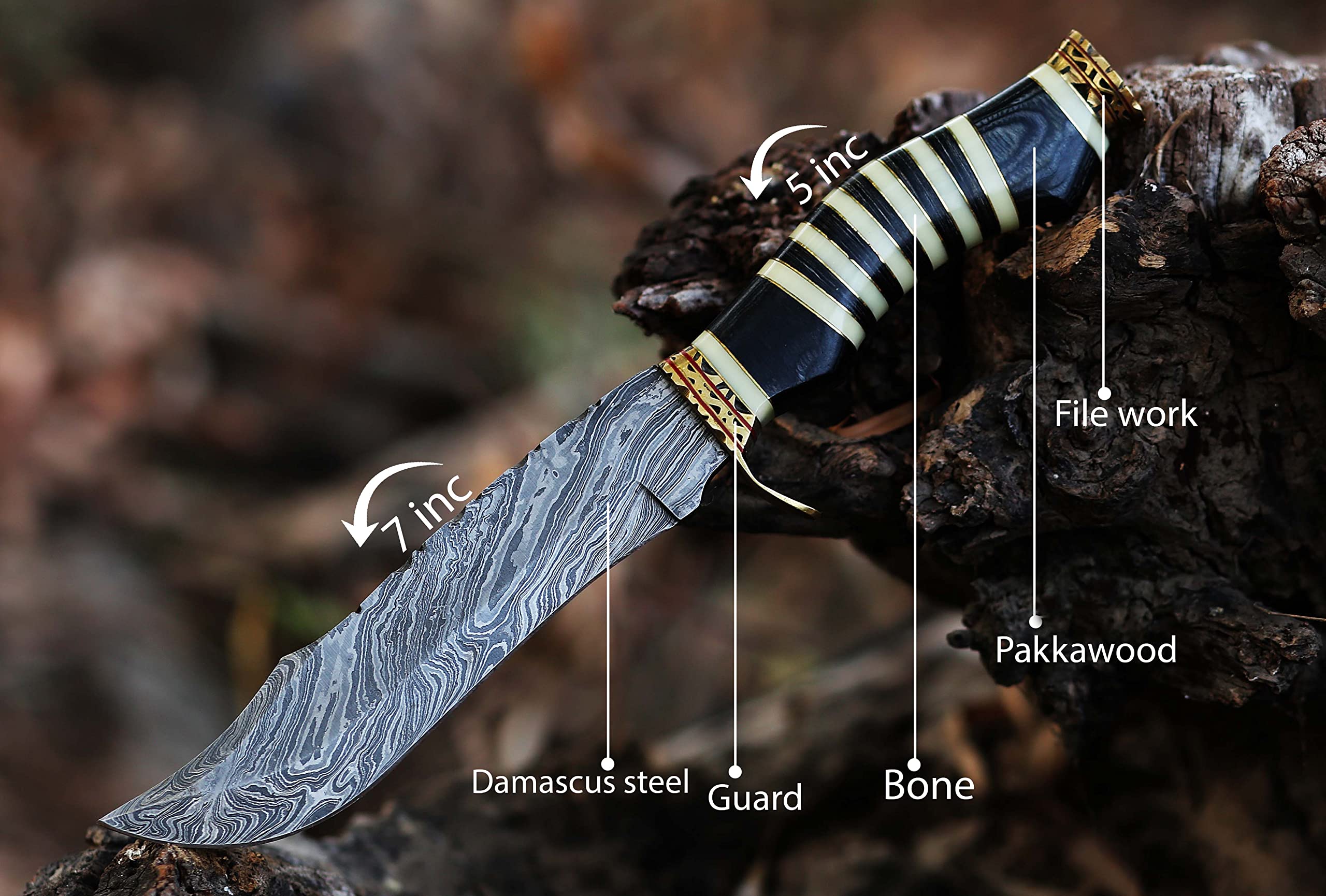 12.5 Inch long Hunting knife, Collectible knife, Scale is made of Camel bone and dollar wood, embellished with Engraved brass finger guard and pommel, Hand forged Twist pattern Damascus steel blade, Comes with Leather sheath