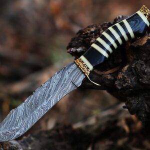 12.5 Inch long Hunting knife, Collectible knife, Scale is made of Camel bone and dollar wood, embellished with Engraved brass finger guard and pommel, Hand forged Twist pattern Damascus steel blade, Comes with Leather sheath