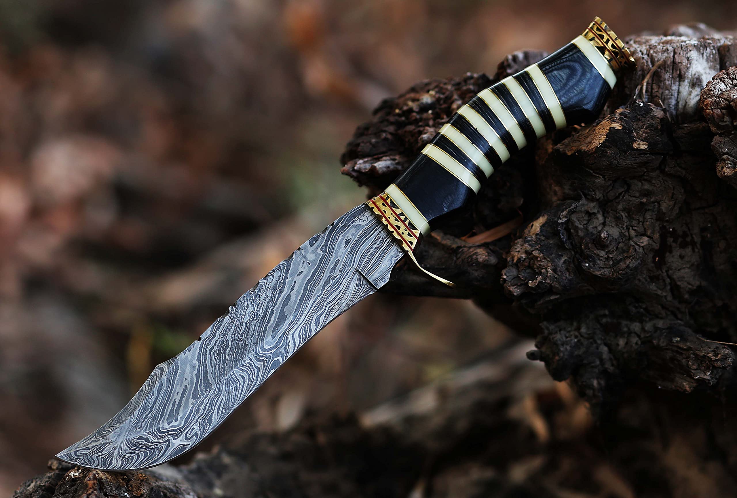 12.5 Inch long Hunting knife, Collectible knife, Scale is made of Camel bone and dollar wood, embellished with Engraved brass finger guard and pommel, Hand forged Twist pattern Damascus steel blade, Comes with Leather sheath