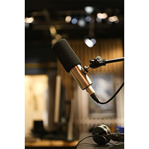 Earthworks ETHOS Streaming and Broadcasting Microphone — Silver