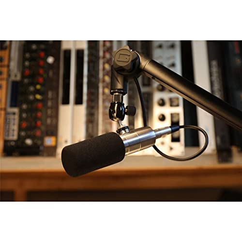 Earthworks ETHOS Streaming and Broadcasting Microphone — Silver