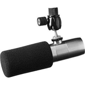 Earthworks ETHOS Streaming and Broadcasting Microphone — Silver