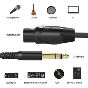 Twozoh XLR Female to 1/4 Inch (6.35mm) TRS Cable, Quarter Inch Jack Balanced to XLR Microphone Cable 3.3FT (Profesional/HiFi)