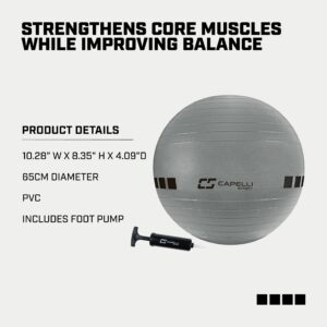 Capelli Sport Exercise Ball for Yoga, Balance Ball, Pilates, Anti Burst Slip Resistant, Quick Pump, Silver, 65 cm, Large (CSEF-1019)