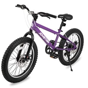 JOYSTAR 20 Inch Girls Moutain Bike for Kids Ages 7-12 Year Old Shimano 7-Speed and Dual Disc Brake 20 Inch Fat Tire Kids Bike Girl Bicycle Purple