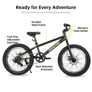 JOYSTAR 20 Inch Moutain Bike for Kids Ages 7-12 Year Old Boys Girls Shimano 7-Speed and Dual Disc Brake 20 Inch Fat Tire Boy Bike Kids' Bicycle Black