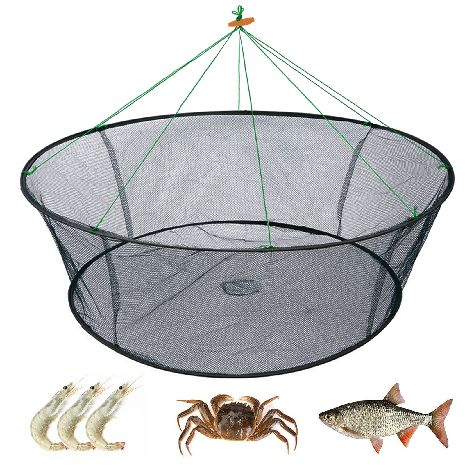 WEISGJA Portable Folded Fishing Net, Crab Net Fish Net with Fishing Rope, Hand Casting Cage Crab Net, Foldable Fishing Mesh Trap for,Minnows,Lobster,Crawfish, Shrimp etc. (39.4inch/100cm)