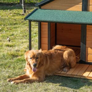 PawHut Outdoor Dog House Cabin Style, Wooden Raised Pet Kennel with Asphalt Roof, Front Door, Side Window, Porch for Medium/Large Dogs, Loading 53 lbs, Yellow