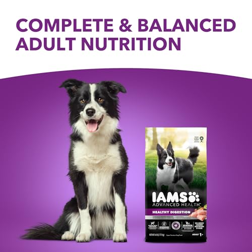 IAMS Advanced Health Adult Healthy Digestion Dry Dog Food with Real Chicken, 27 lb. Bag