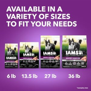 IAMS Advanced Health Adult Healthy Digestion Dry Dog Food with Real Chicken, 27 lb. Bag