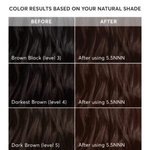 Madison Reed Radiant Hair Color Kit, Medium Brown for 100% Gray Coverage of Resistant Gray Hair, Ammonia-Free, 5.5NNN Modena Brown, Permanent Hair Dye, Pack of 1