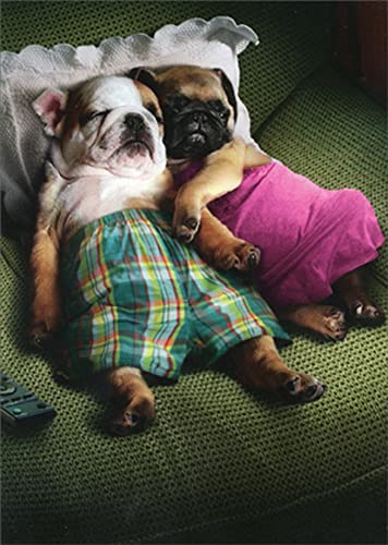 Avanti Press Dog Couple Resting on Pillow Cute Pug and Bulldog Romantic Valentine's Day Card