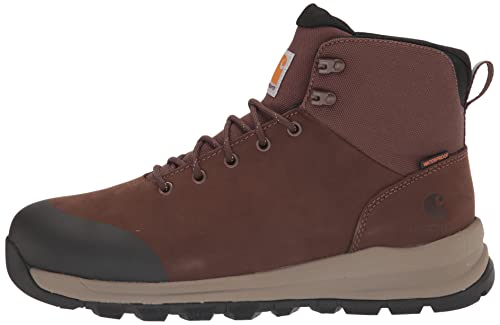 Carhartt Men's Outdoor WP 5" Alloy Toe Hiker Boot FH5520-M, Dark Brown, 11.5 W