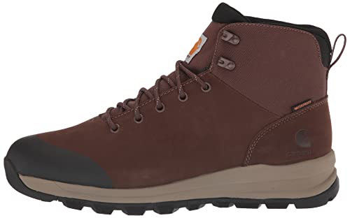 Carhartt Men's Outdoor WP 5" Soft Toe Hiker Boot FH5020-M, Dark Brown, 8.5 W