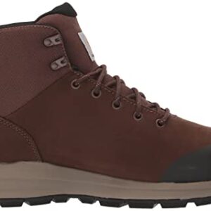 Carhartt Men's Outdoor WP 5" Alloy Toe Hiker Boot FH5520-M, Dark Brown, 11.5 W