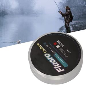 100M Nylon Fishing Line, High Strength Nylon Fishing Line for Reservoir Fishing(#3.5)