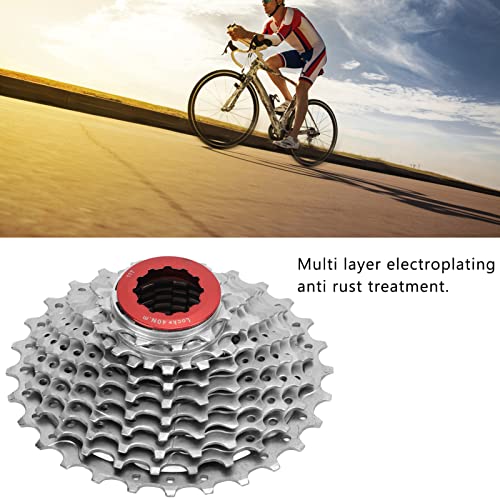 Shanrya Bike Cassette Sprocket, Accurate Gear Ratio 28T 10 Speed Low Noise Bicycle Freewheel for Road Bike