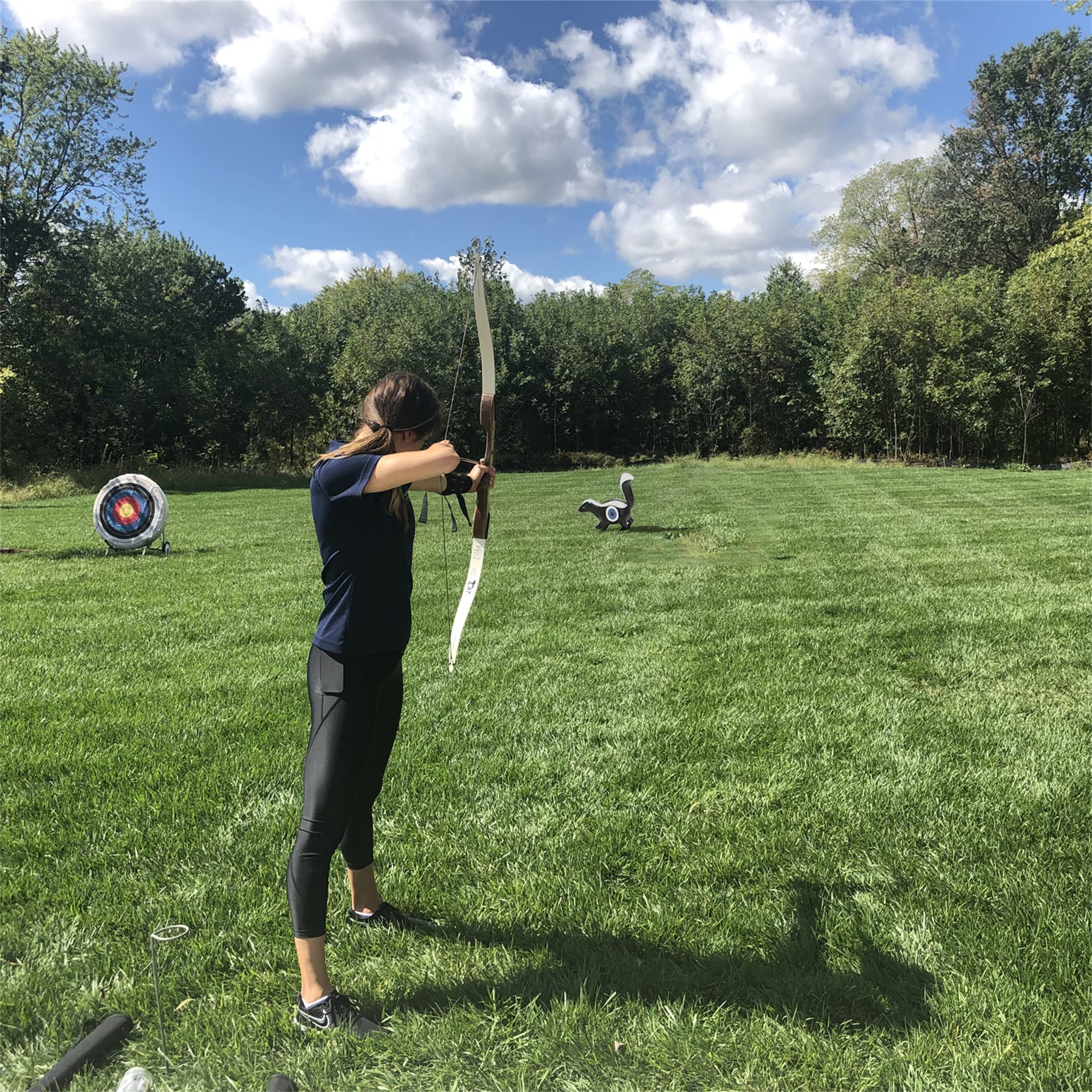 Archery Targets Skunk 3D Shooter for Targeting Practice Training