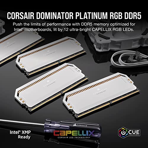 CORSAIR DOMINATOR PLATINUM RGB DDR5 RAM 32GB (2x16GB) 5600MHz C36-36-36-76 1.25V Intel Optimized Computer Memory(iCUE Compatible,Fast Performance, Patented DHX Cooling, Intel® XMP 3.0 Profiles) White