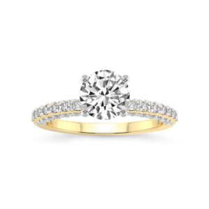 1 Carat | IGI Certified Round Shape Lab Grown Diamond Engagement Ring For Women | 14K Or 18K in White, Yellow Or Rose Gold | Lab Created Atria Secret Double Halo Diamond Engagement Ring | GH-VS1-VS2 Quality Friendly Diamonds Engagement Ring