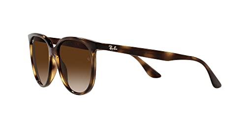 Ray-Ban Women's RB4378 Square Sunglasses, Havana/Gradient Brown, 54 mm