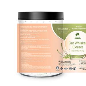 2x Pure BioNutricia Cat's Whiskers - Misai Kucing Extract Powder