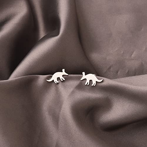 FAADBUK Aardvark Stud Earrings Aardvark Lover Gift Aardvark Gift Animal Lover Gift (Aardvark Stud Earring)