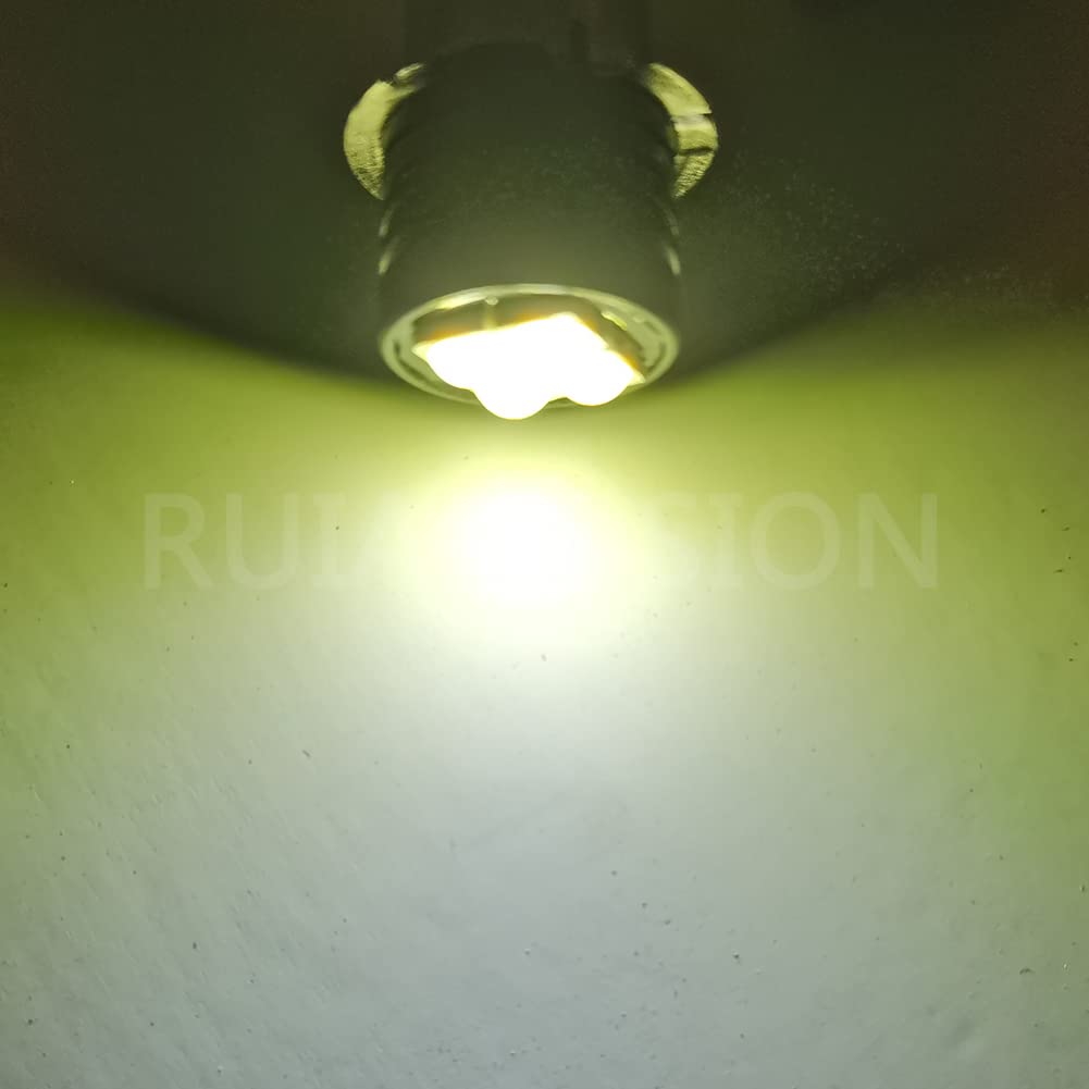 Ruiandsion 2pcs P13.5S LED Flashlight Bulb 3V 3030 4SMD Chips LED Replacement Bulb for 2 Cells C&D Flashlights Torch Work Lights