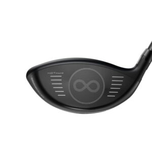 Cobra Golf 2022 LTDX LS Driver Matte Black-Gold Fusion (Men's, Right Hand, Project X Hzrdrus Smoke im10 60, Reg Flex, 10.5)