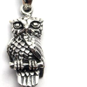 COSUMOSU Owl 925 sterling silver Animal Mexican Pendant (Small Large) (Large)