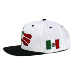 CHL Trading Mexican Hat Snapback Hecho En Mexico Eagle Aguila Flag Flat Bill Baseball Cap (White - Flag Eagle)