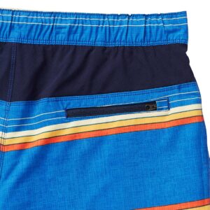 Speedo Mens Hydro Volley Swim Shorts (Speedo Blue Stripe, Large 34/36)