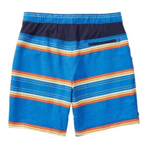 Speedo Mens Hydro Volley Swim Shorts (Speedo Blue Stripe, Large 34/36)