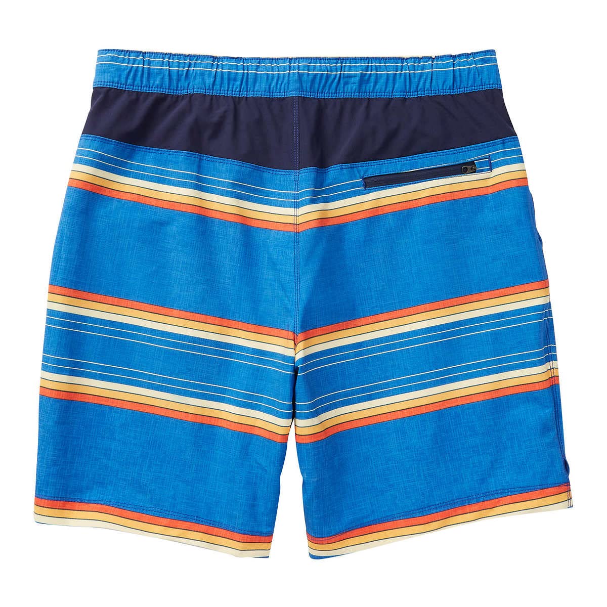 Speedo Mens Hydro Volley Swim Shorts (Speedo Blue Stripe, Large 34/36)