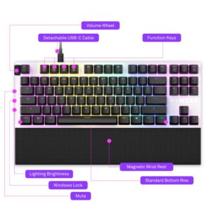 NZXT Function TKL – Tenkeyless USB Gaming Keyboard – Gateron Red Mechanical Switches: Linear, Fast, and Quiet – Hot-Swappable – RGB Backlit – Aluminum Top Plate – Wrist Rest – White